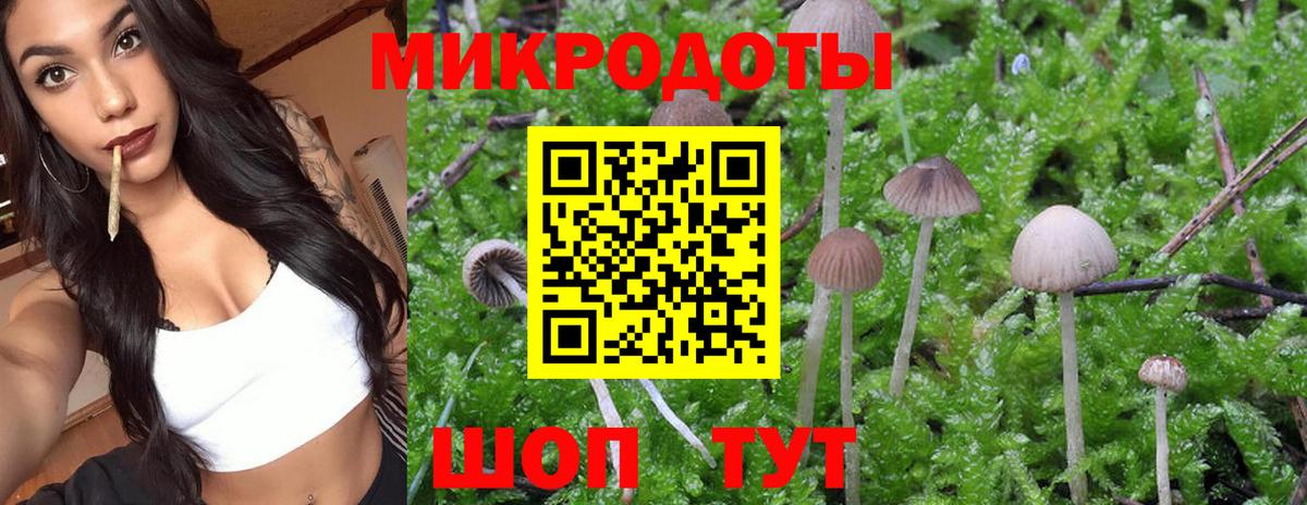 Псилоцибиновые грибы GOLDEN TEACHER  Псилоцибиновые грибы MAGIC MUSHROOMS  Тюмень 