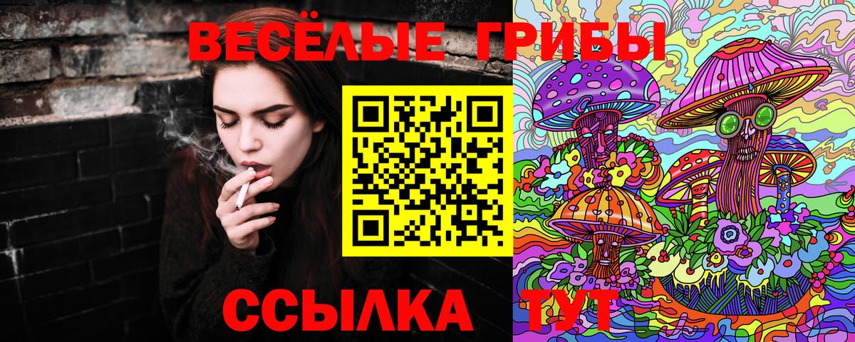 Псилоцибиновые грибы MAGIC MUSHROOMS  Вход с VPN  Тюмень 