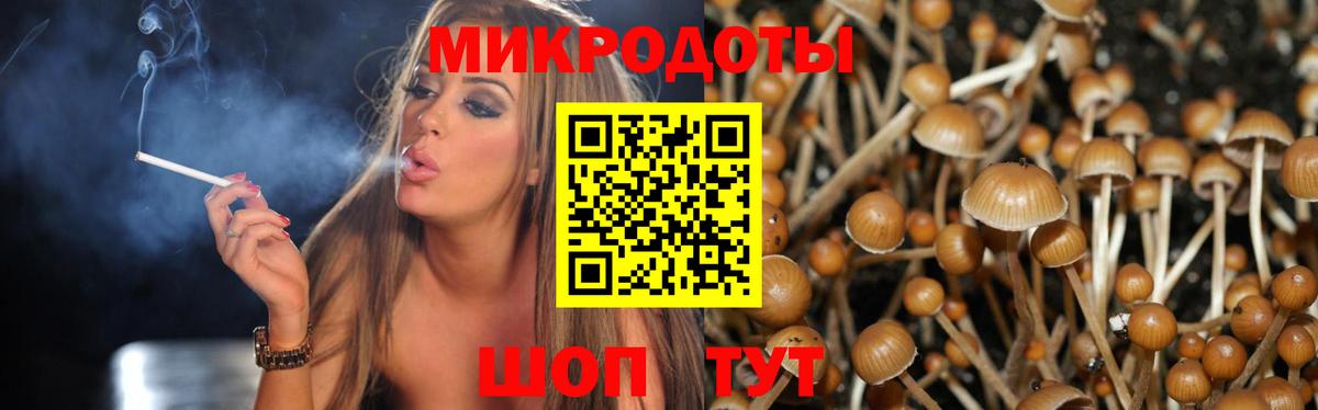 Галлюциногенные грибы Cubensis Тюмень