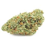 Шишки OG Kush  (Гидропоника, бошки) VHQ в Тюмени